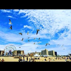 Meet your Posher, Amina